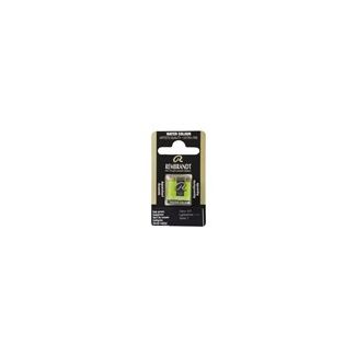 Pastilla Acuarela PAN VERDE VEJIGA REMBRANDT 05866231 