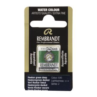 Pastilla Acuarela PAN VERDE HOOKER OSCURO REMBRANDT 05866451 