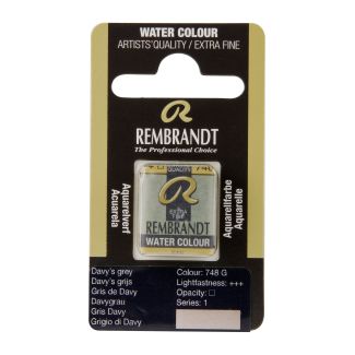 Pastilla Acuarela PAN GRIS DAVY REMBRANDT 05867481 