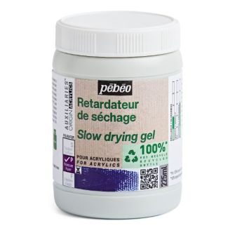 818699 PASTA DE MODELAR RETARDATEUR
