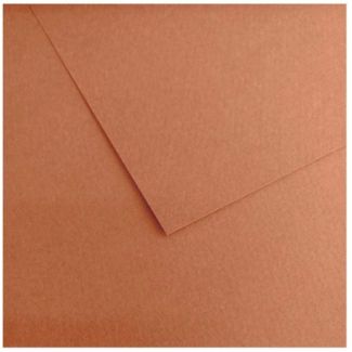 CARTULINA MI-TEINTES A4 SALMON Nº 384 C31032S017 