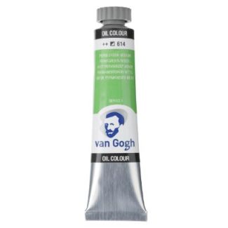 02046143 OLEO VGOGH 20ML VERDE PERM. MED