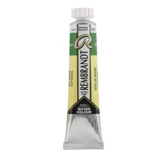 Acuarela Tubo 20ML VERDE VEJIGA REMBRANDT 05046230 