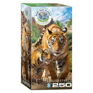E8251-5559 PUZLE 250PCS TIGERS
