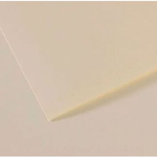 CARTULINA MI-TEINTES FLOR DE LIS 50X65CM 160GR CANSON 31032S091