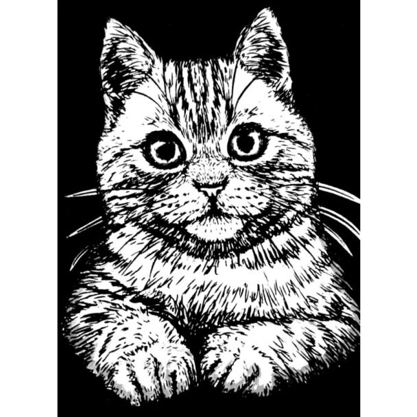 LÁMINA DE TERCIOPELO PARA COLOREAR 35X47CM - GATO COLORVELVET VL93