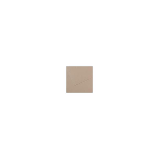 CARTULINA MI TEINTES 50X65 GRIS Nº 122 C31032S095 